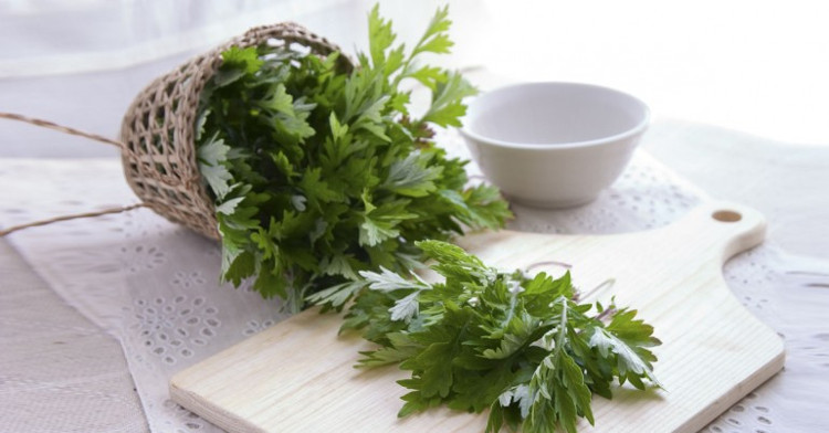 Ngải cứu cũng được phụ nữ yêu thích trong việc làm đẹp. Ngải cứu cũng được phụ nữ yêu thích trong việc làm đẹp.
