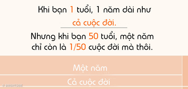 Khi bạn 50 tuổi, 1 năm chỉ còn là 2% cuộc đời mà thôi. Khi bạn 50 tuổi, 1 năm chỉ còn là 2% cuộc đời mà thôi.