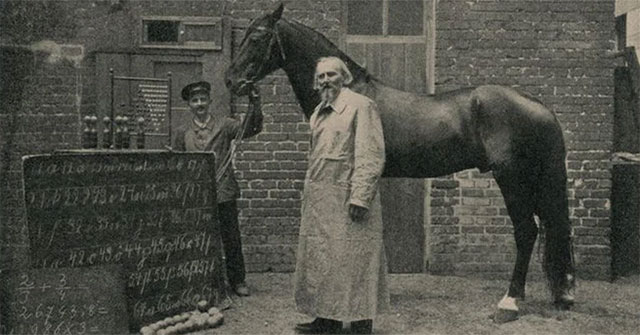 Clever Hans: Con Ngựa Thông Minh Với Khả Năng Kỳ Lạ