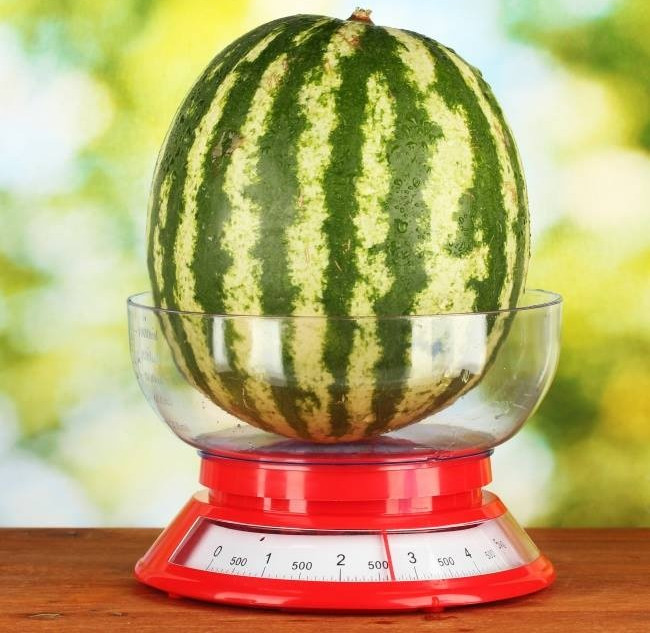 Nên chọn dưa hấu kích thước vừa phải, không quá nhỏ hoặc quá to