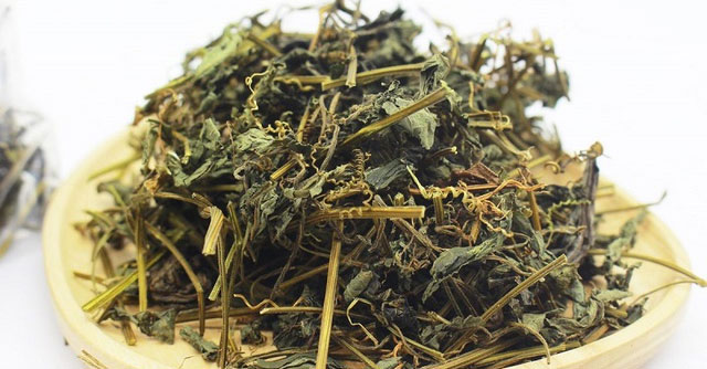 Khám Phá Giảo Cổ Lam – Siêu Thực Phẩm Hỗ Trợ Sức Khỏe Tự Nhiên
