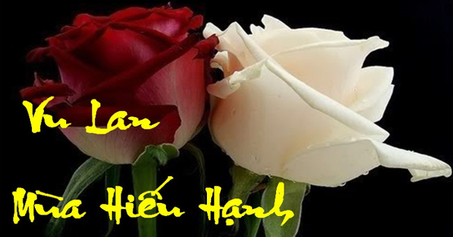 Khám Phá Ý Nghĩa Lễ Vu Lan Và Tình Yêu Thương Báo Hiếu