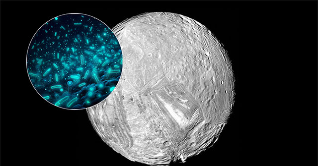Phát Hiện Bất Ngờ Từ Tàu NASA Về Mặt Trăng Miranda Có Thể Chứa Nước
