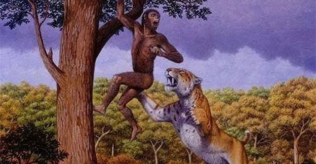 Khám Phá Những Kẻ Săn Mồi Không Có Kẻ Thù Trong Thế Giới Động Vật
