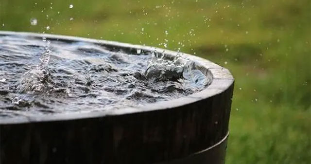 Tại Sao Nước Mưa Có Thể Gây Nguy Hiểm Cho Sức Khỏe Của Bạn?