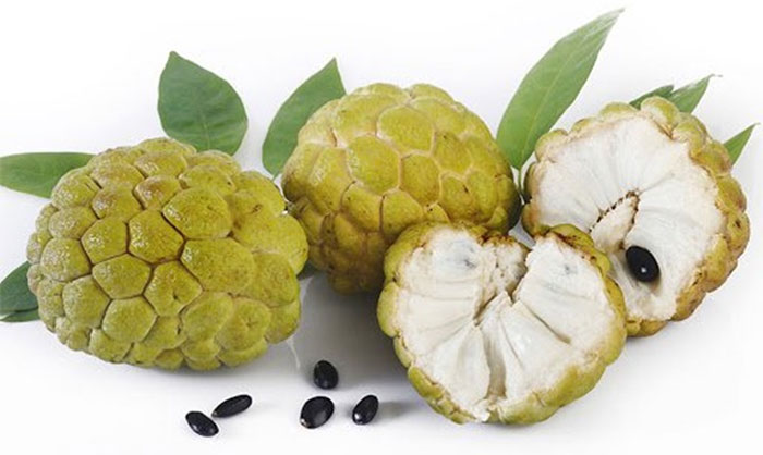 qua-na Quả na chín hoàn toàn