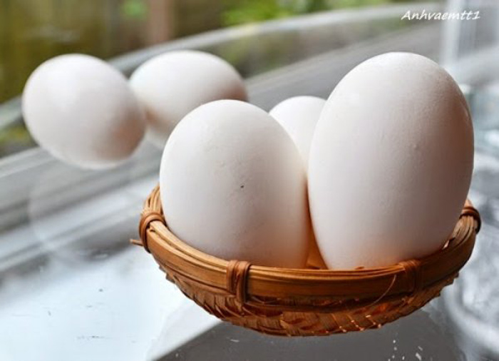 Trứng ngỗng không tốt cho sức khỏe bà bầu.