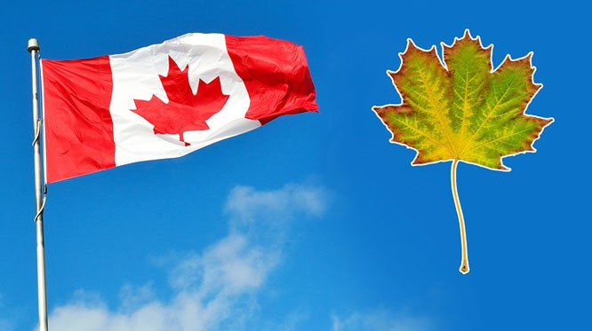 quoc-ki-canada Quốc kỳ Canada