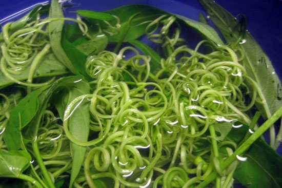 Ăn rau muống sống có thể gây hại cho sức khỏe Ăn rau muống sống có thể gây hại cho sức khỏe