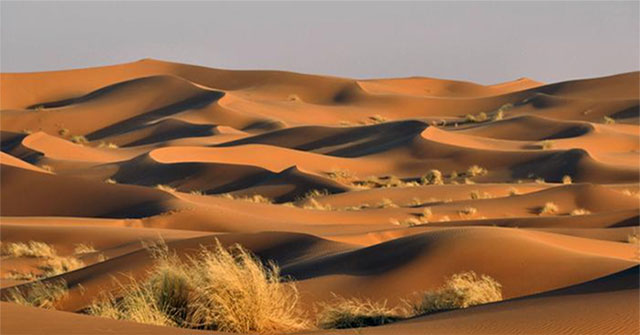 Khám Phá Bí Ẩn Bên Dưới Sa Mạc Sahara Thông Qua Công Nghệ Radar