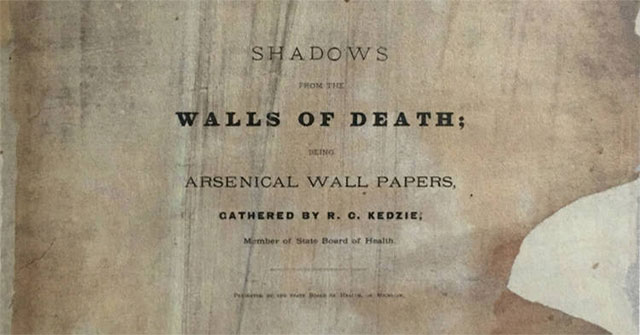 Cuốn Sách Đáng Sợ Gây Chết Người: Huyền Thoại Shadows From The Walls Of Death