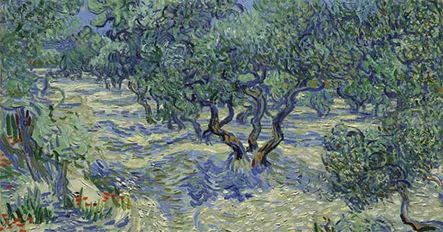 Ký ức nhỏ trong một kiệt tác: khi chiếc cọ để lại dấu tích côn trùng trên tranh Van Gogh