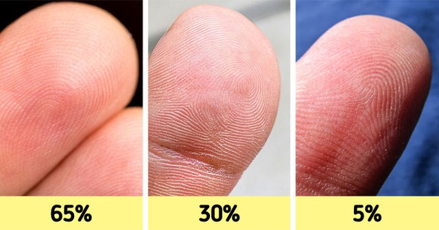 Khám Phá 12 Đặc Điểm Cơ Thể Hiếm Gặp Mà Nhiều Người Không Biết
