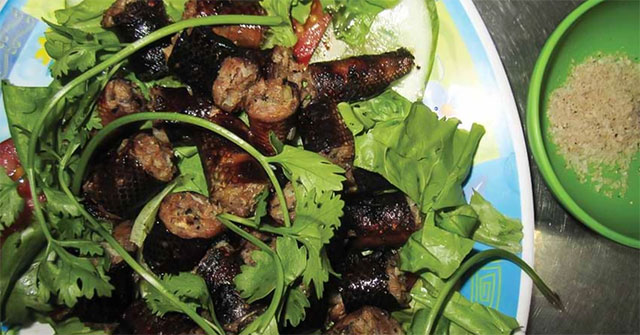 Thịt trăn: Giải pháp protein ít tài nguyên cho nông nghiệp bền vững